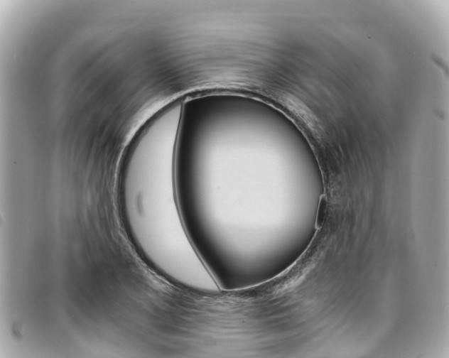 X0000095521077200712140904