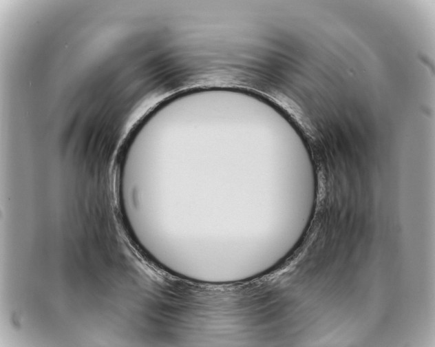 X0000095521078200712140904