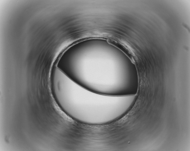 X0000095521080200712140904