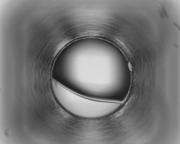 X0000095521081200712140904