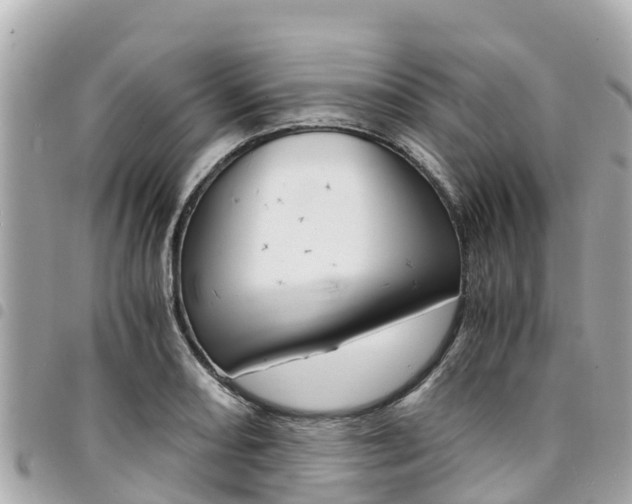 X0000095521082200712140904