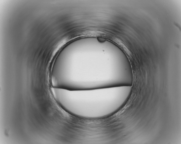 X0000095521083200712140904
