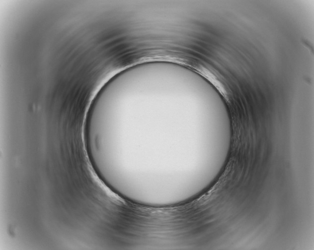 X0000095521084200712140904