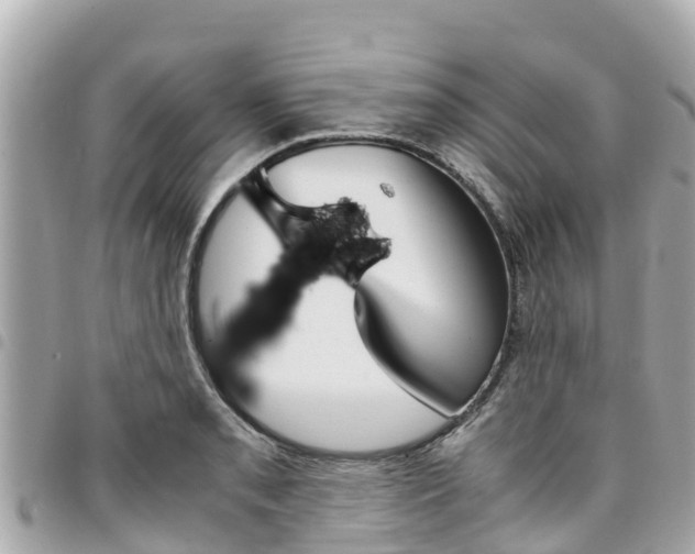 X0000095521085200712140904