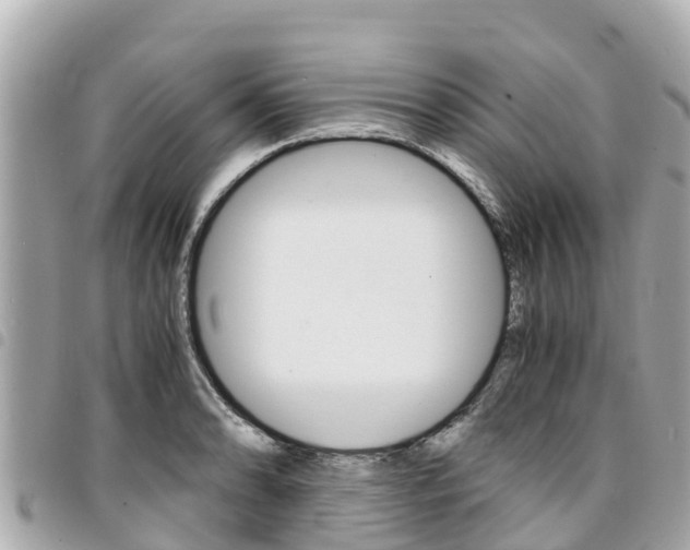 X0000095521086200712140904