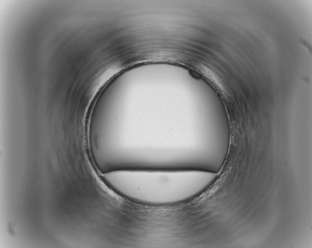 X0000095521087200712140904