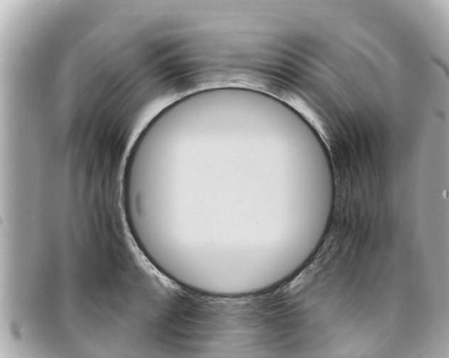 X0000095521088200712140904