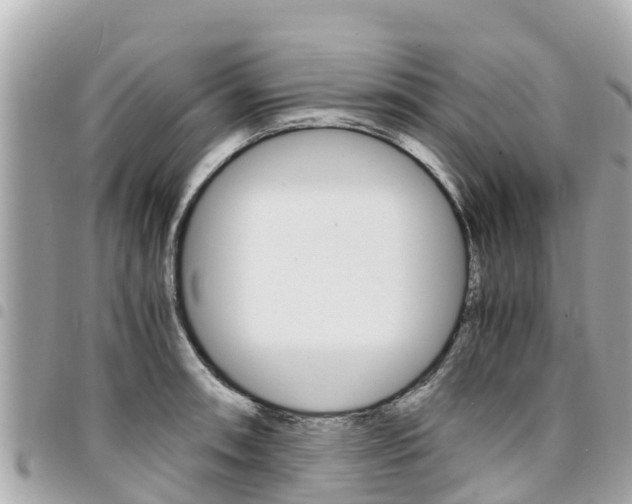 X0000095521090200712140904