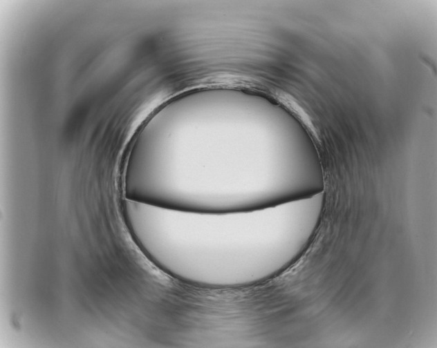 X0000095521091200712140904