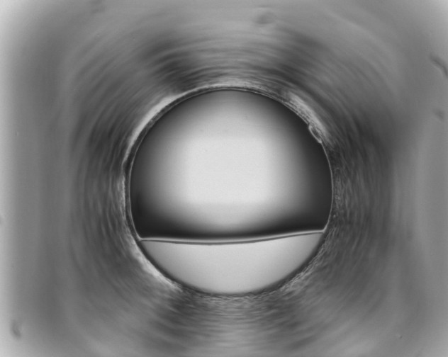X0000095521092200712140904