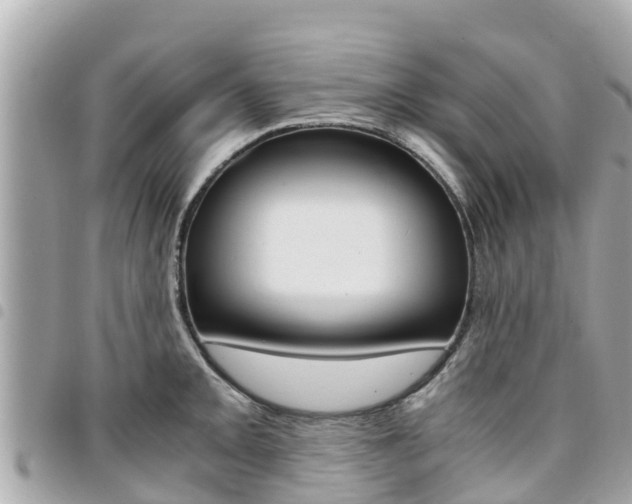 X0000095521093200712140904