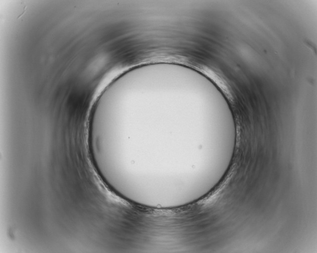 X0000095521094200712140904