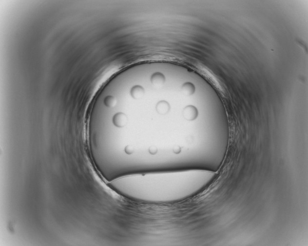 X0000095521095200712140904