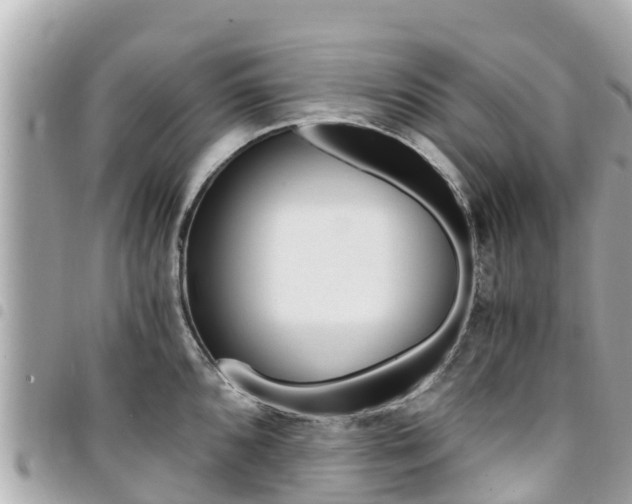 X0000095521096200712140904