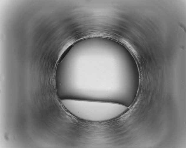 X0000095521097200712140904
