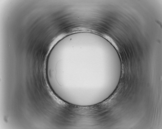 X0000095521098200712140904