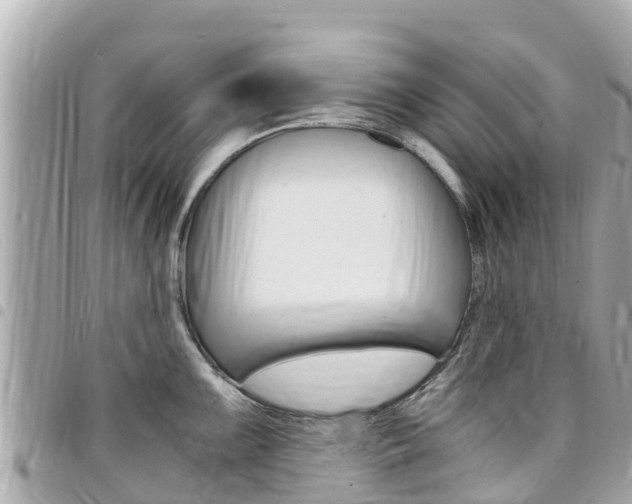 X0000095521099200712140904