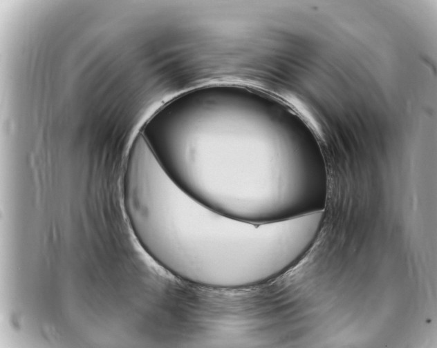 X0000095521100200712140904