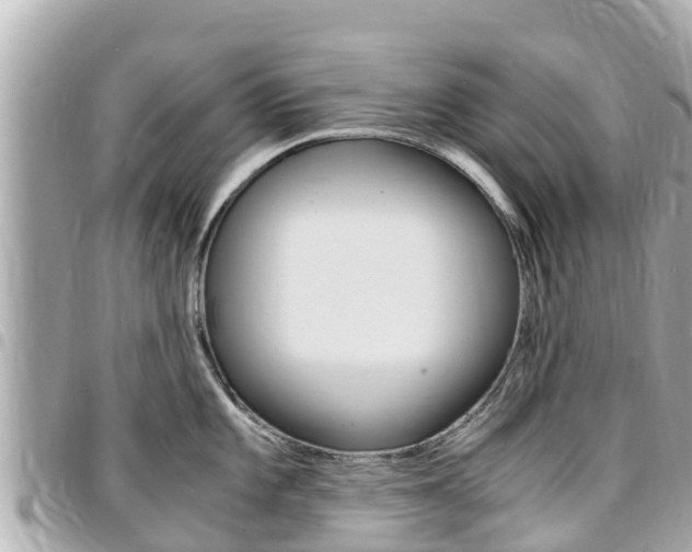X0000095521101200712140904