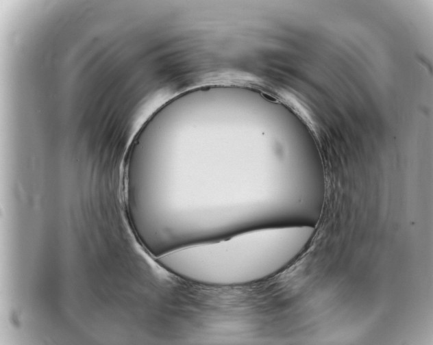 X0000095521103200712140904