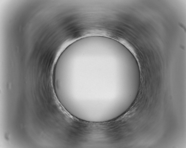X0000095521104200712140904