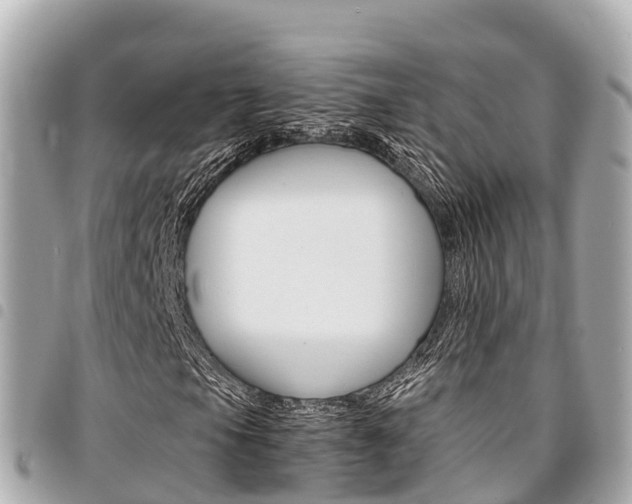 X0000095521105200712140903