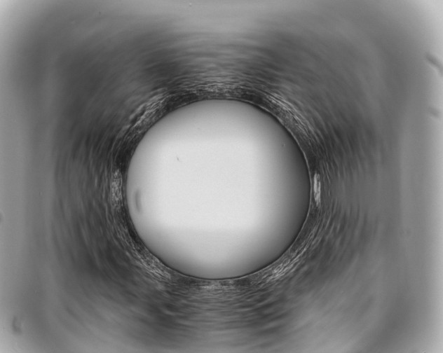 X0000095521107200712140903