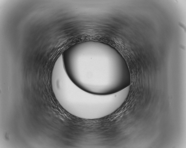 X0000095521109200712140903