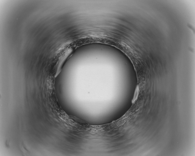 X0000095521110200712140903