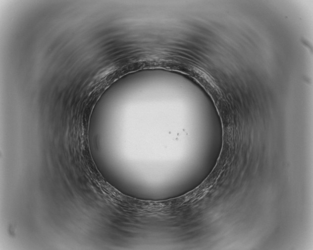 X0000095521111200712140903