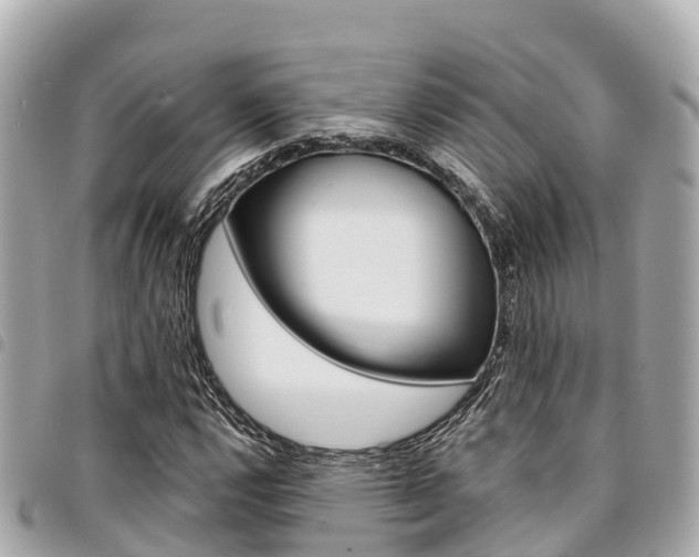 X0000095521112200712140903