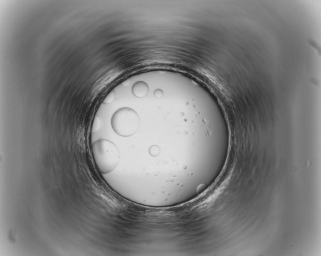 X0000095521113200712140903