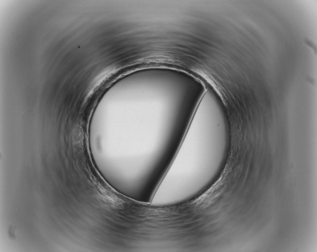 X0000095521115200712140903