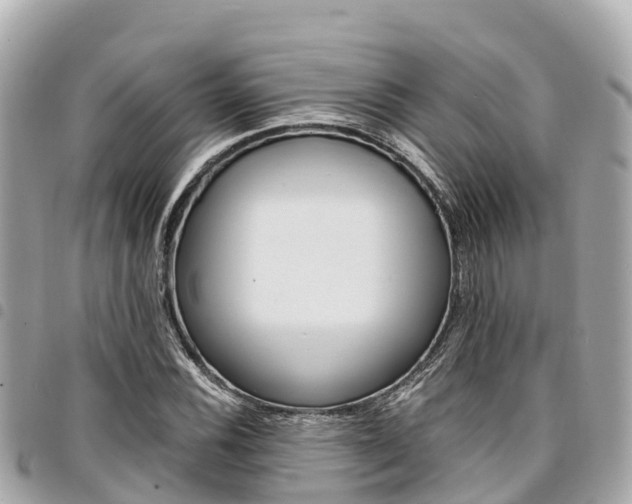 X0000095521116200712140903