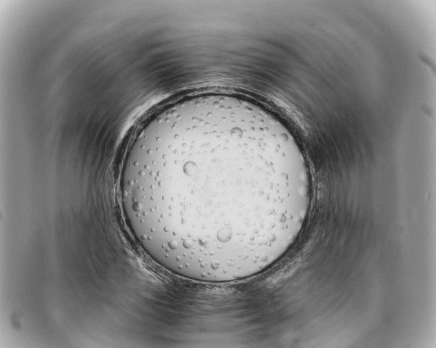 X0000095521117200712140903