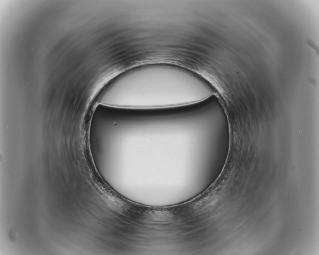 X0000095521119200712140903