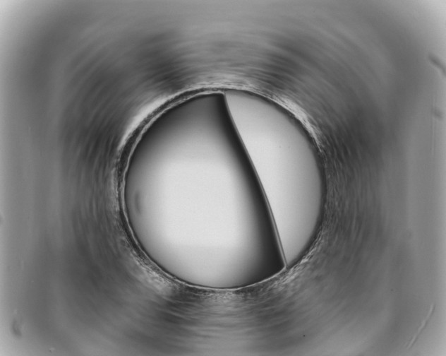 X0000095521120200712140903