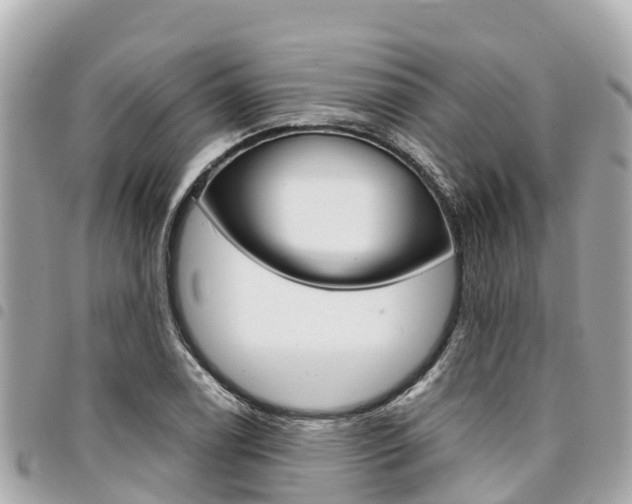 X0000095521122200712140903