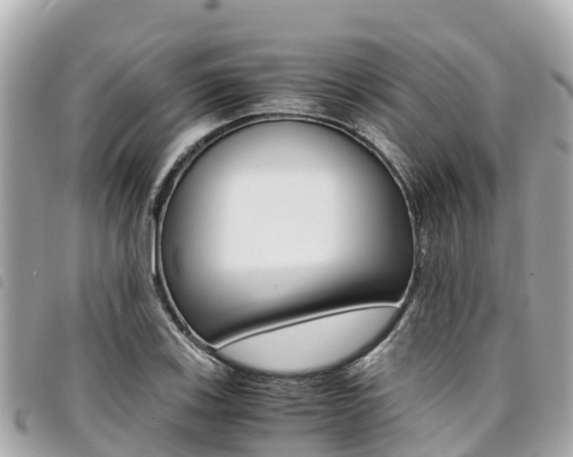 X0000095521123200712140903