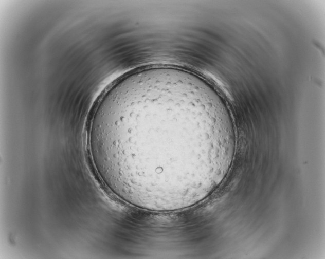 X0000095521125200712140903