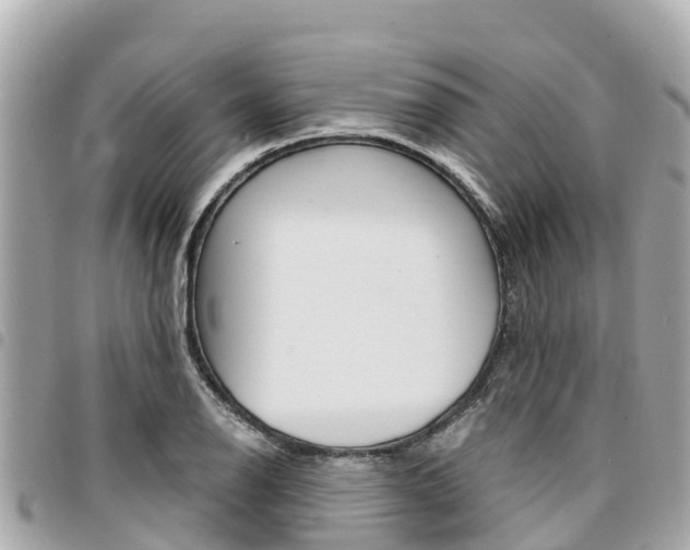 X0000095521126200712140903