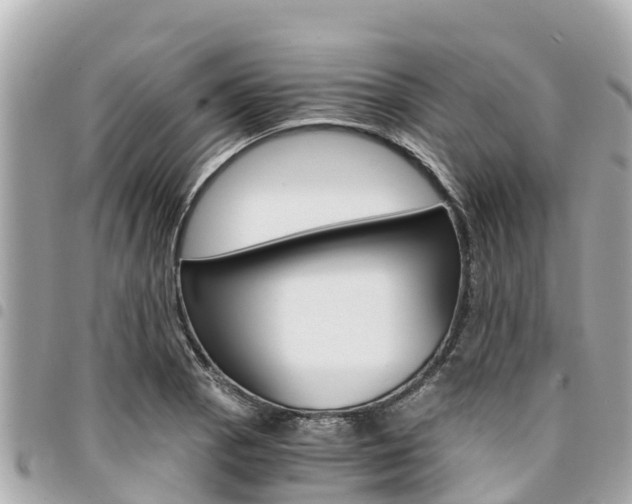 X0000095521129200712140903