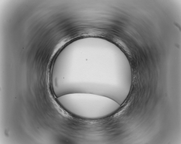 X0000095521130200712140903