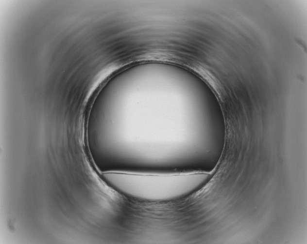 X0000095521131200712140903