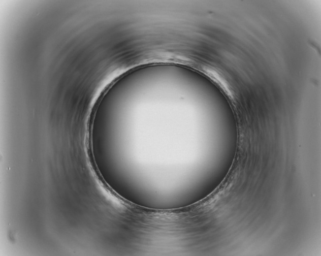 X0000095521136200712140903