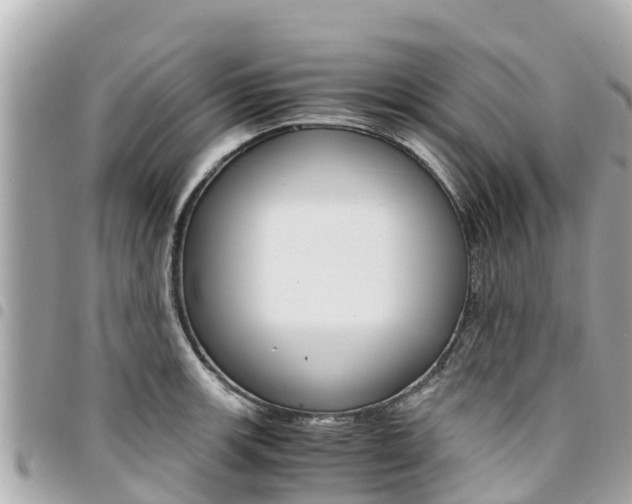 X0000095521139200712140903