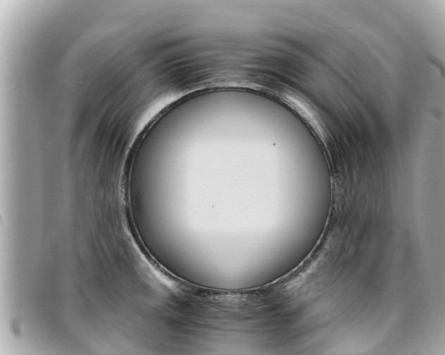 X0000095521141200712140903