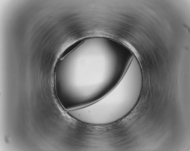 X0000095521144200712140903