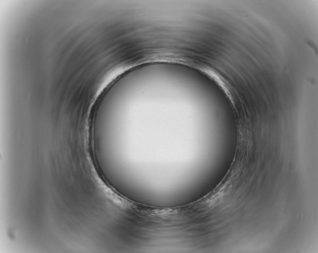 X0000095521147200712140904