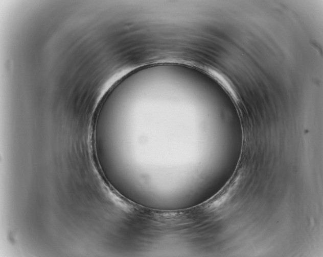 X0000095521149200712140904